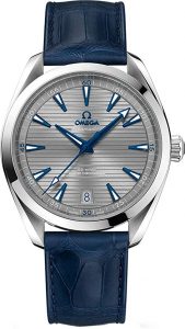 Omega Seamaster Aqua Terra Mens Watch 220.13.41.21.06.001
